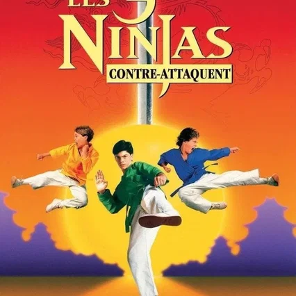 Miniature photo du film : Ninja Kids 2 : Les 3 Ninjas contre-attaquent