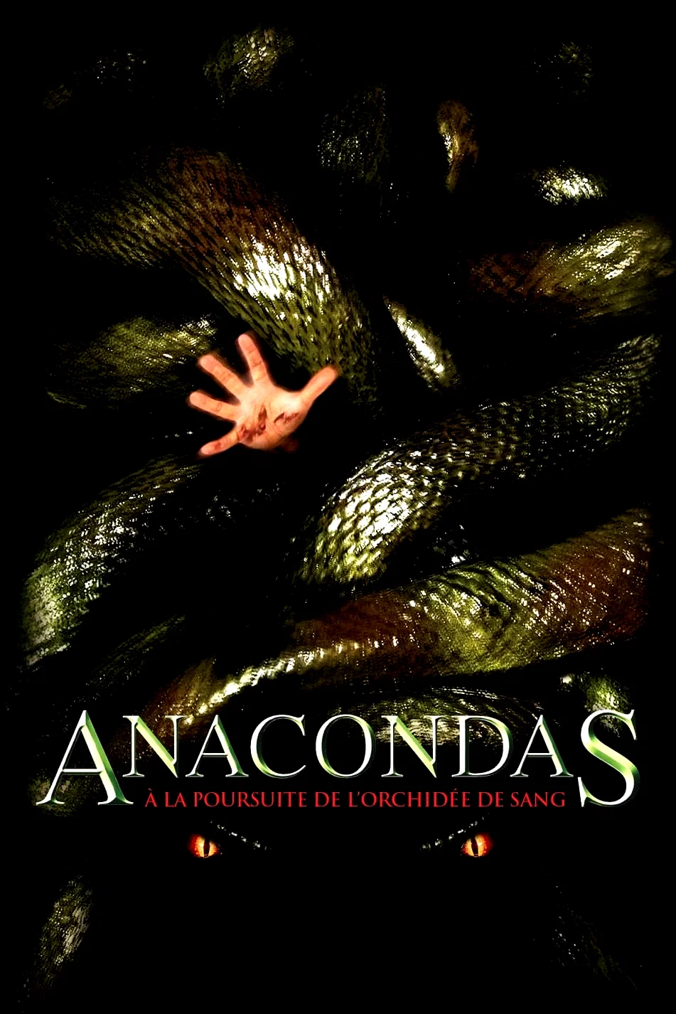 Photo 2 du film : Anacondas : À la poursuite de l'orchidée de sang