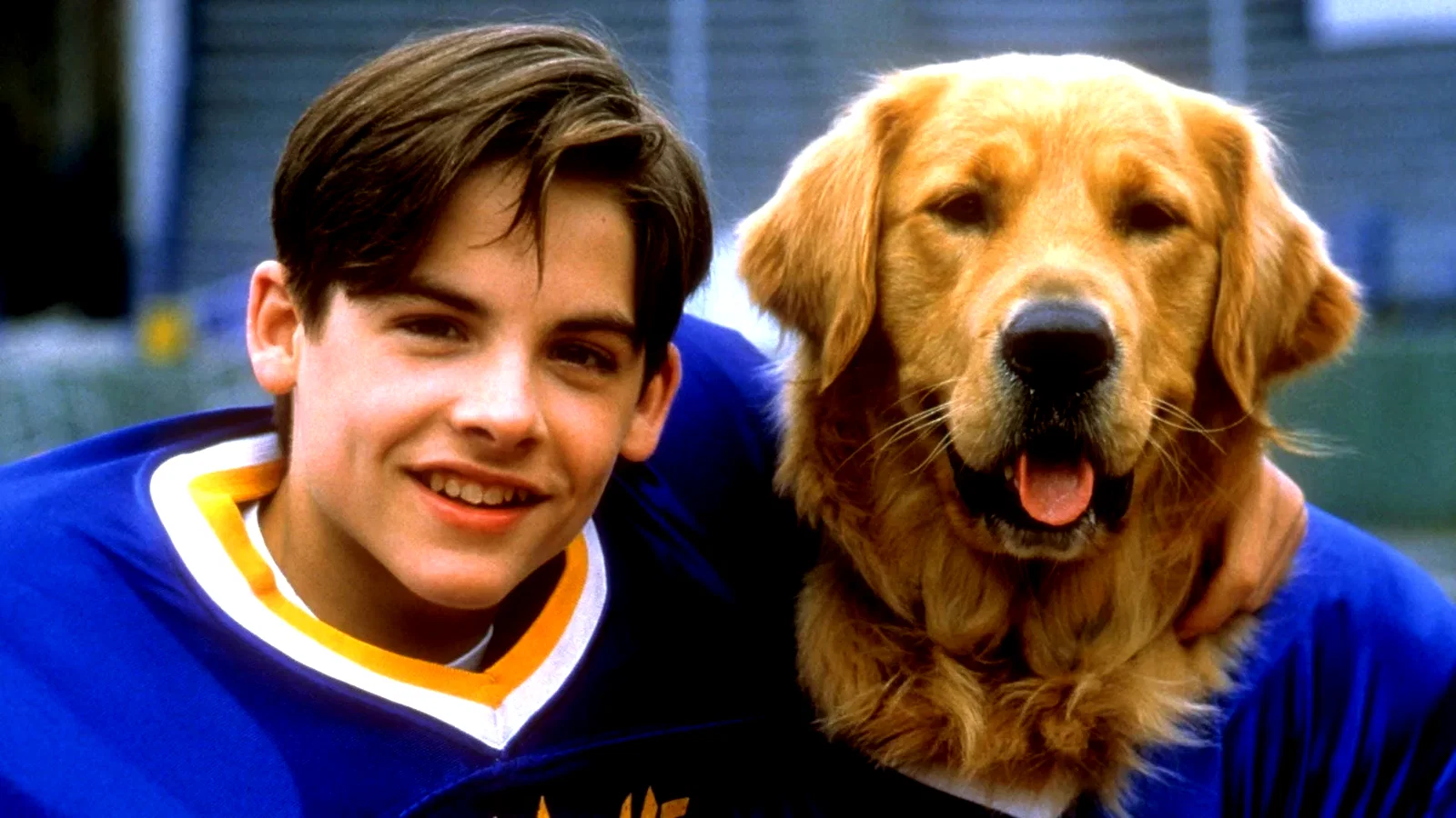 Photo 2 du film : Air Bud 2 - Receveur étoile