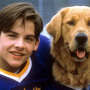 Photo du film : Air Bud 2 - Receveur étoile