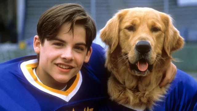 Photo du film : Air Bud 2 - Receveur étoile