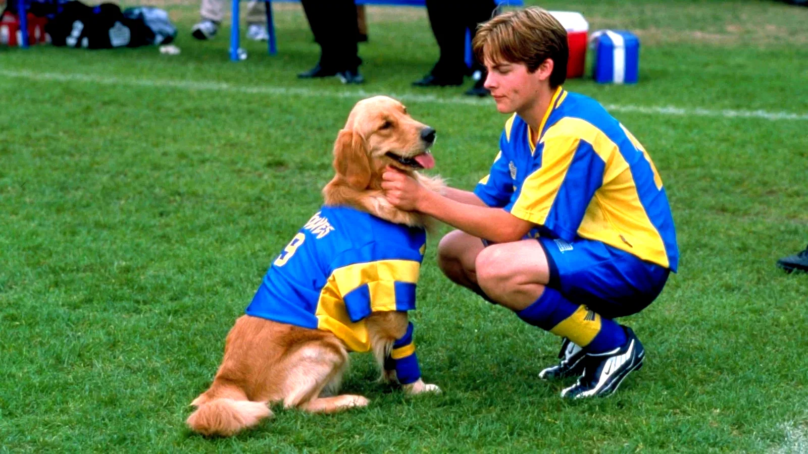 Photo 2 du film : Air Bud 3 - le chien etoile