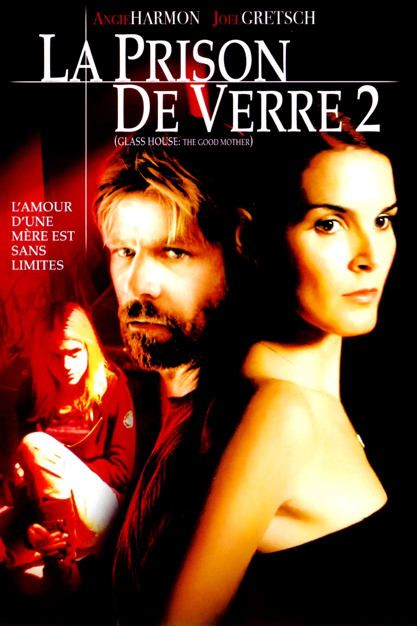 Affiche du film : La Prison de verre 2