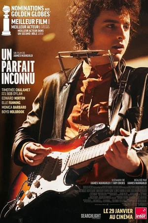 Affiche du film : Un parfait inconnu
