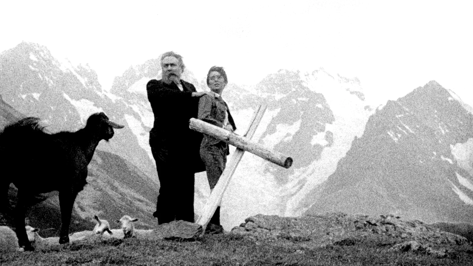 Photo du film : Poil de Carotte