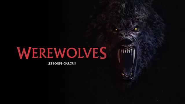 Photo 1 du film : Werewolves