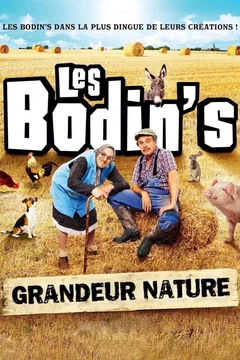 Affiche du film Les Bodin's : Grandeur Nature (@Zenith de Limoges)