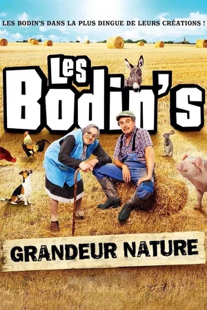 Affiche du film : Les Bodin's : Grandeur Nature (@Zenith de Limoges)