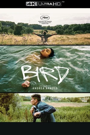 Photo du film : Bird