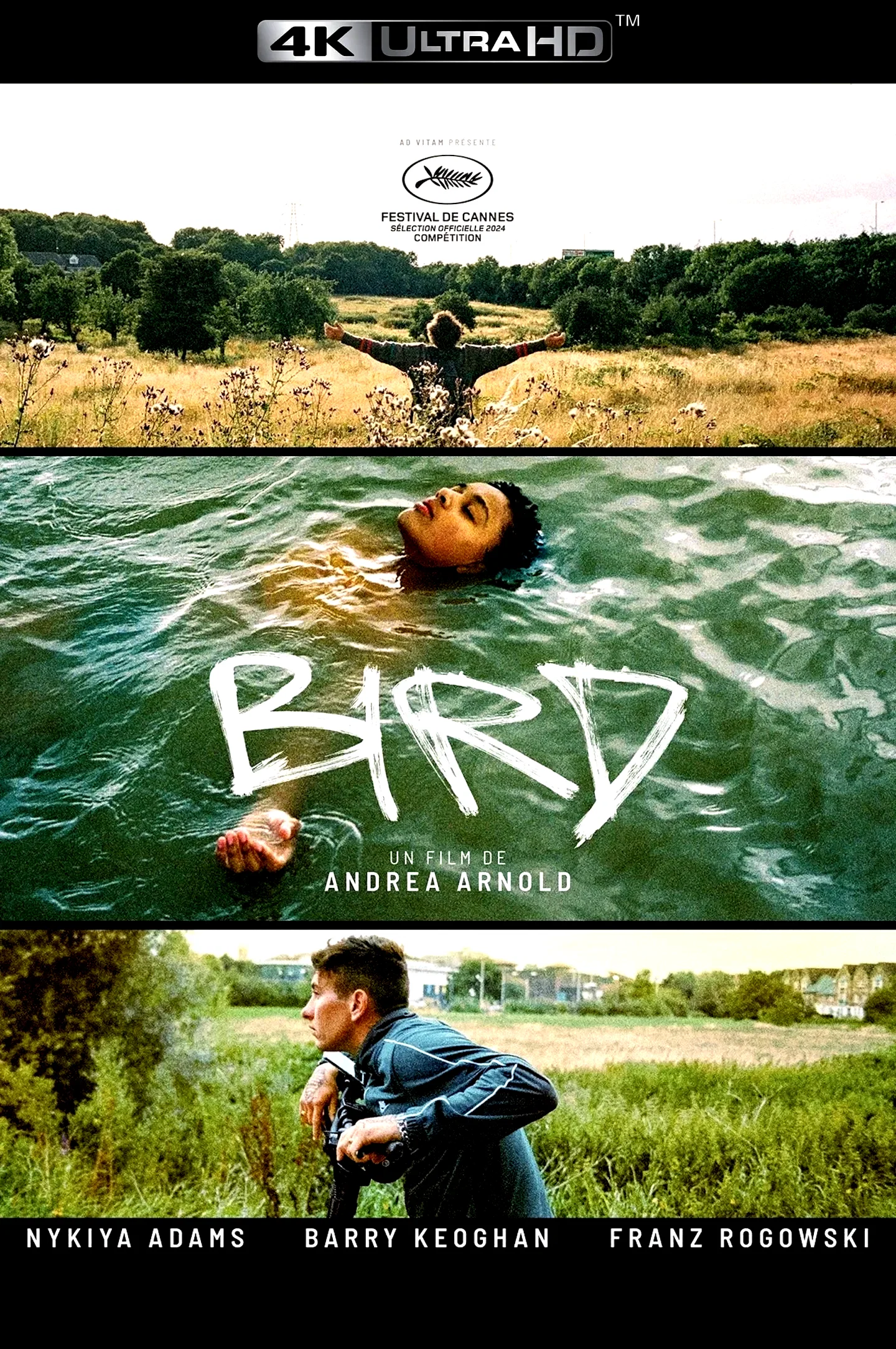 Photo 4 du film : Bird