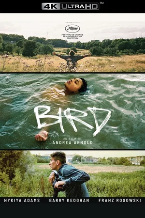 Photo du film : Bird