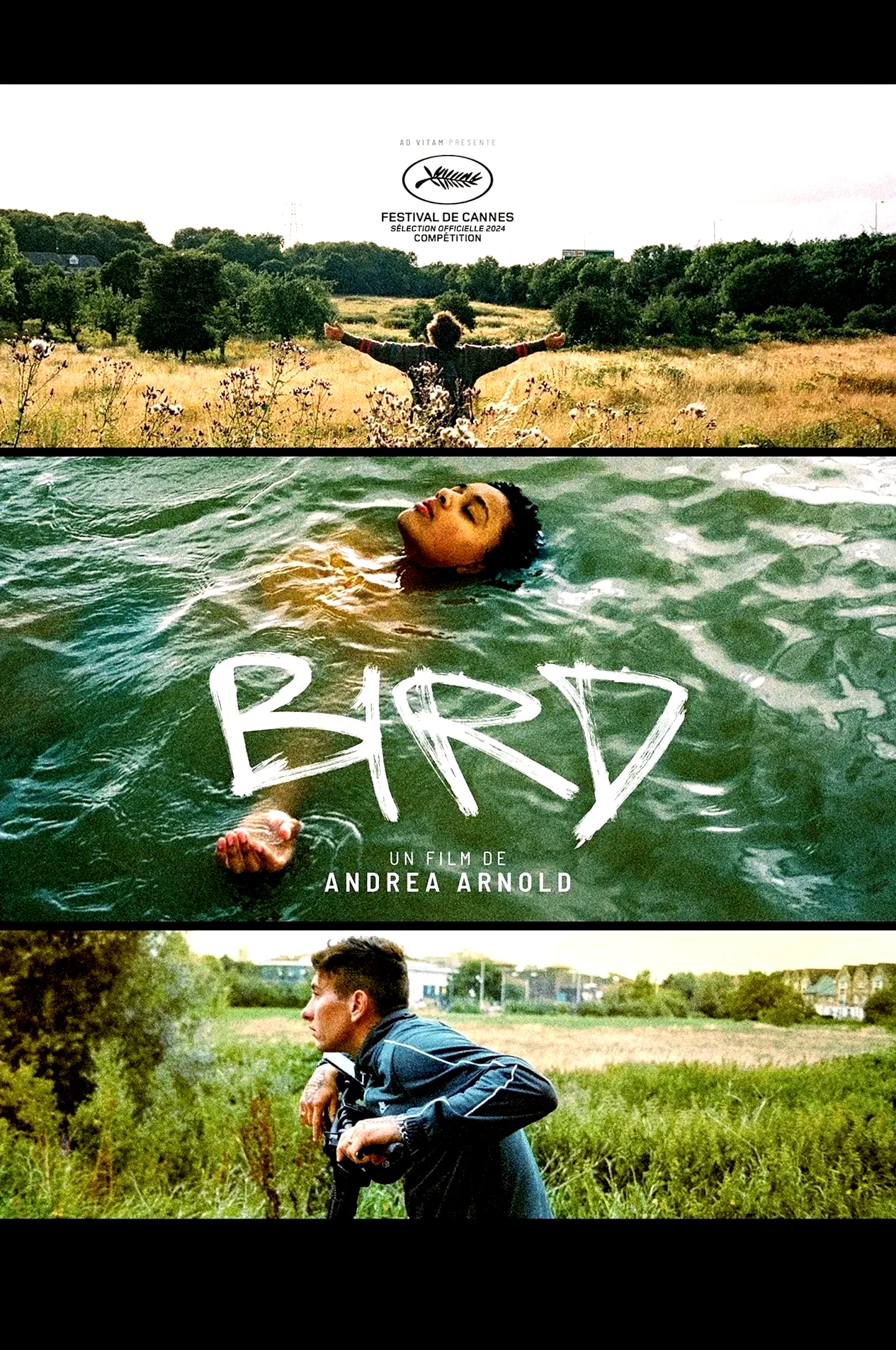 Photo 5 du film : Bird