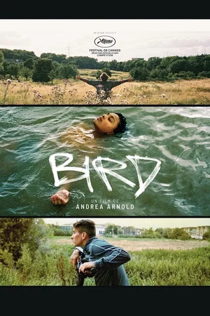 Photo du film : Bird