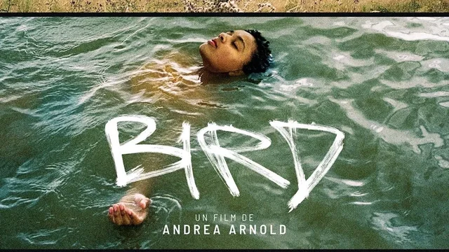Affiche du film : Bird