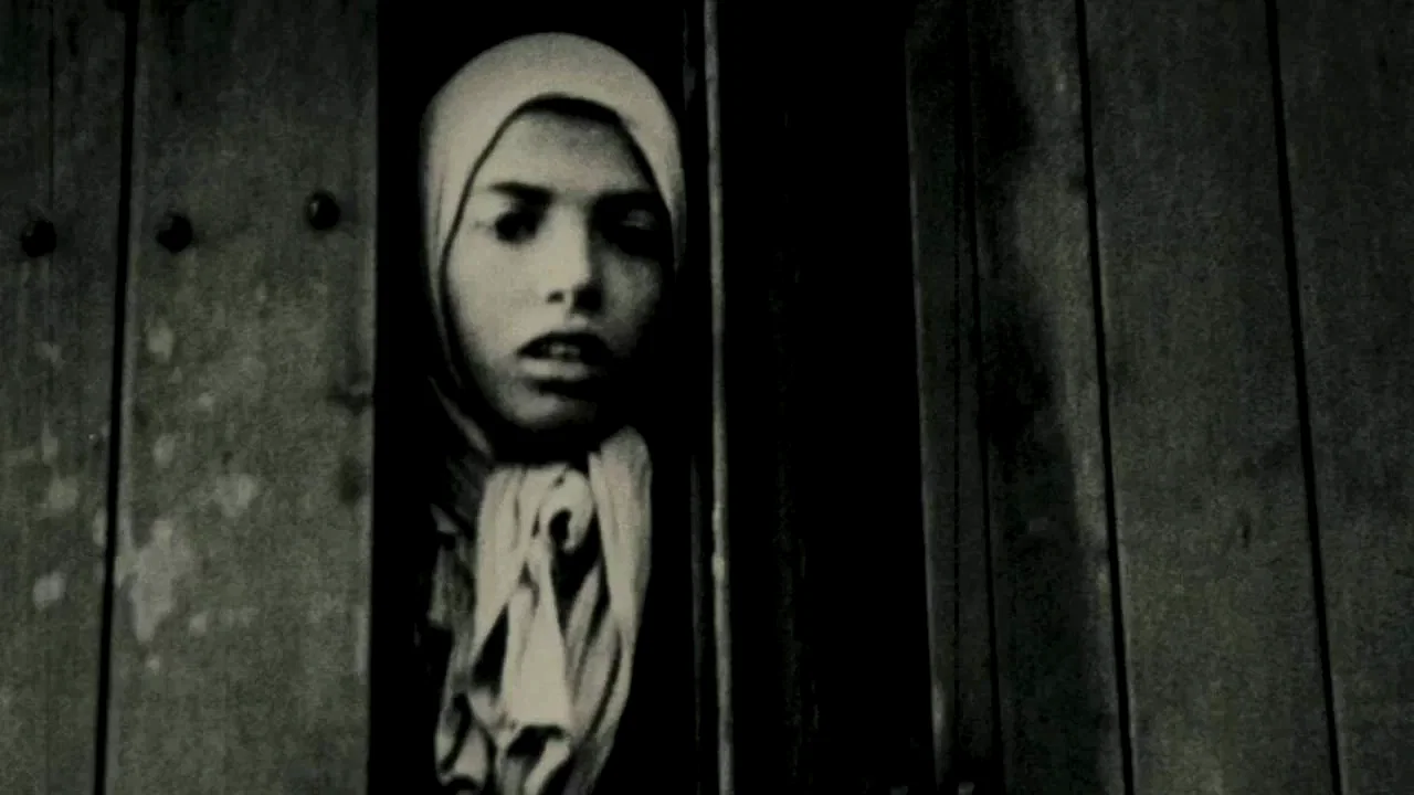 Photo 12 du film : Nuit et brouillard
