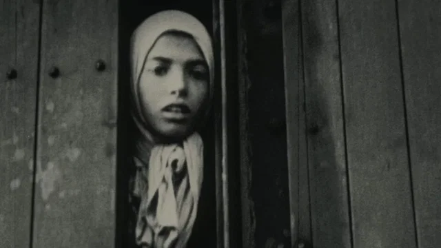 Photo 12 du film : Nuit et brouillard