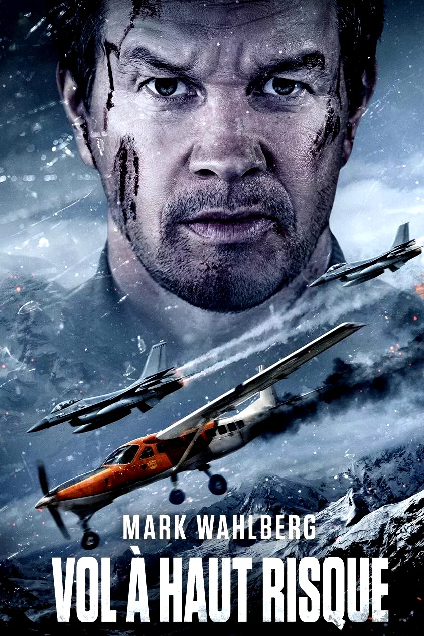 Affiche du film : Vol à haut risque