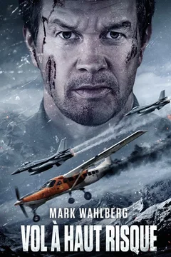 Affiche du film = Vol à haut risque