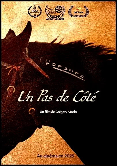 Affiche du film : Un Pas De Côté
