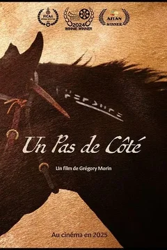 Affiche du film Un Pas De Côté