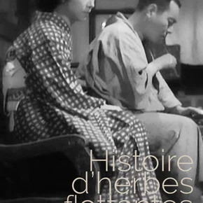 Photo du film : Herbes flottantes