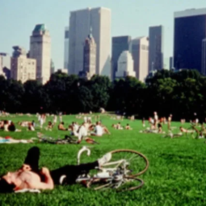 Miniature photo du film : Central Park