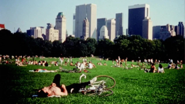 Photo 5 du film : Central Park