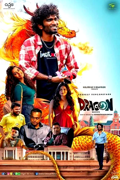 Affiche du film : Dragon