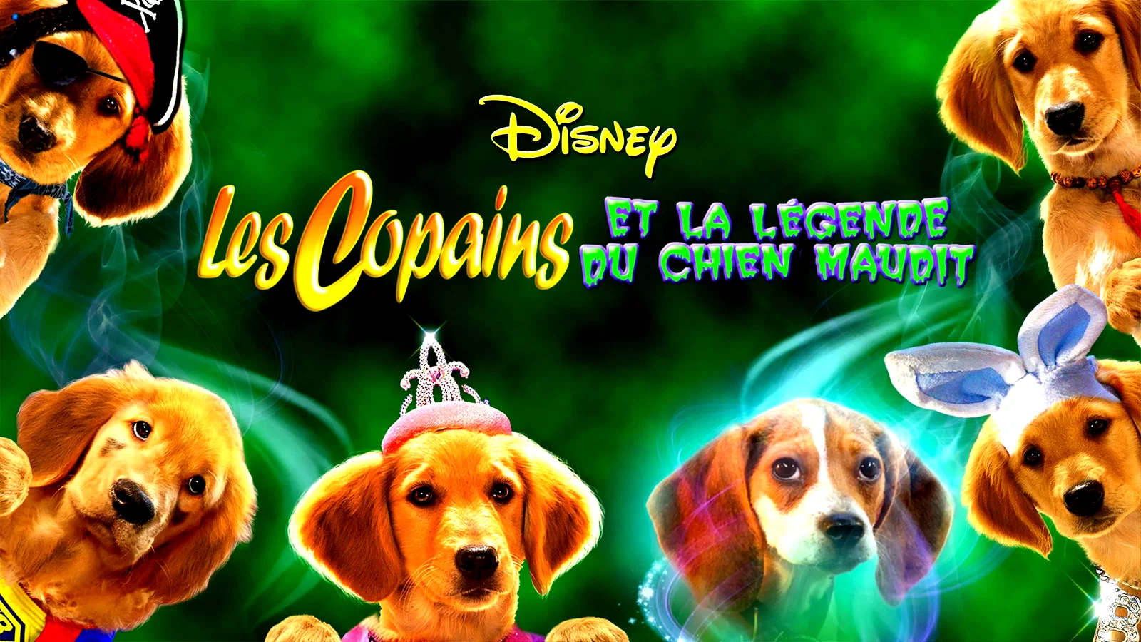 Photo du film : Les Copains et la légende du chien maudit