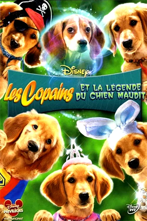 Photo du film : Les Copains et la légende du chien maudit