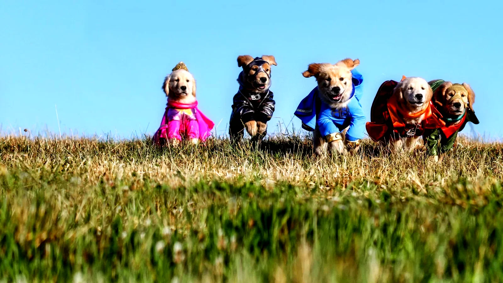 Photo 4 du film : Les Copains super-héros