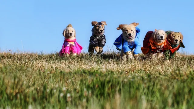 Photo du film : Les Copains super-héros