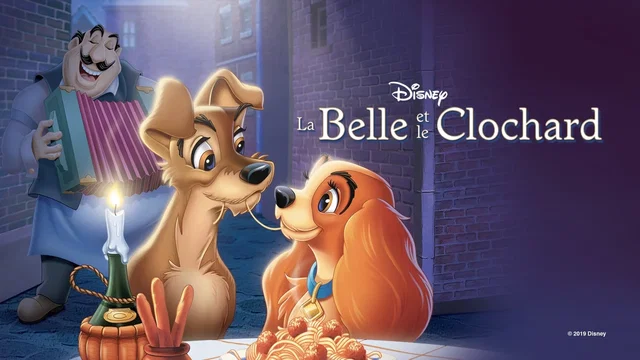 Photo 5 du film : La Belle et le Clochard