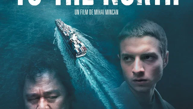 Affiche du film : To the North