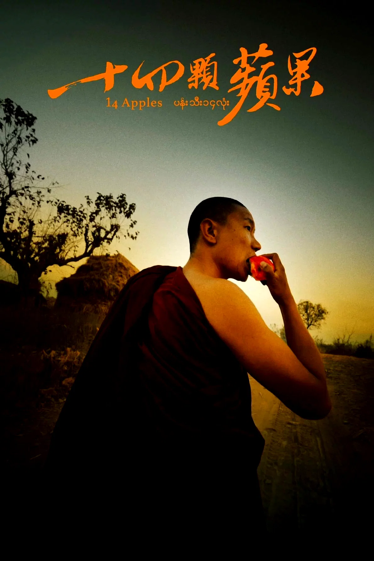 Affiche du film : 14 Pommes