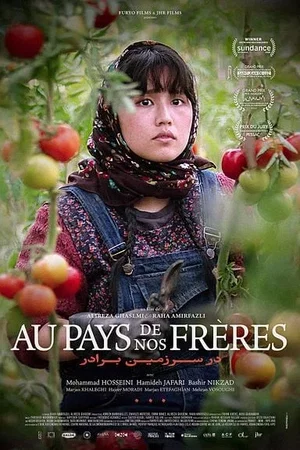 Affiche du film : Au pays de nos frères