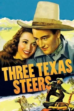 Affiche du film Three Texas Steers