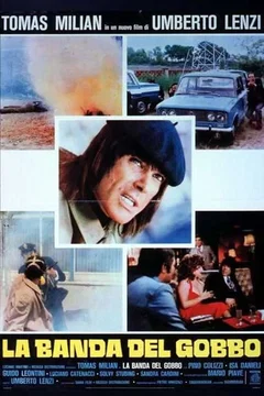 Affiche du film Echec au gang
