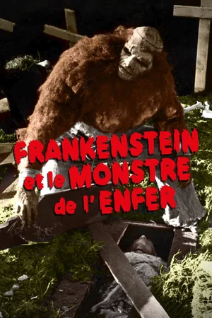 Photo 4 du film : Frankenstein et le monstre de l'enfer