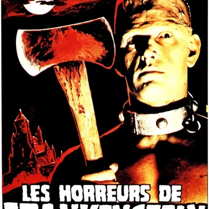 Miniature photo du film : Les horreurs de Frankenstein
