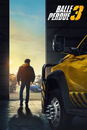 Affiche du film : Balle perdue 3