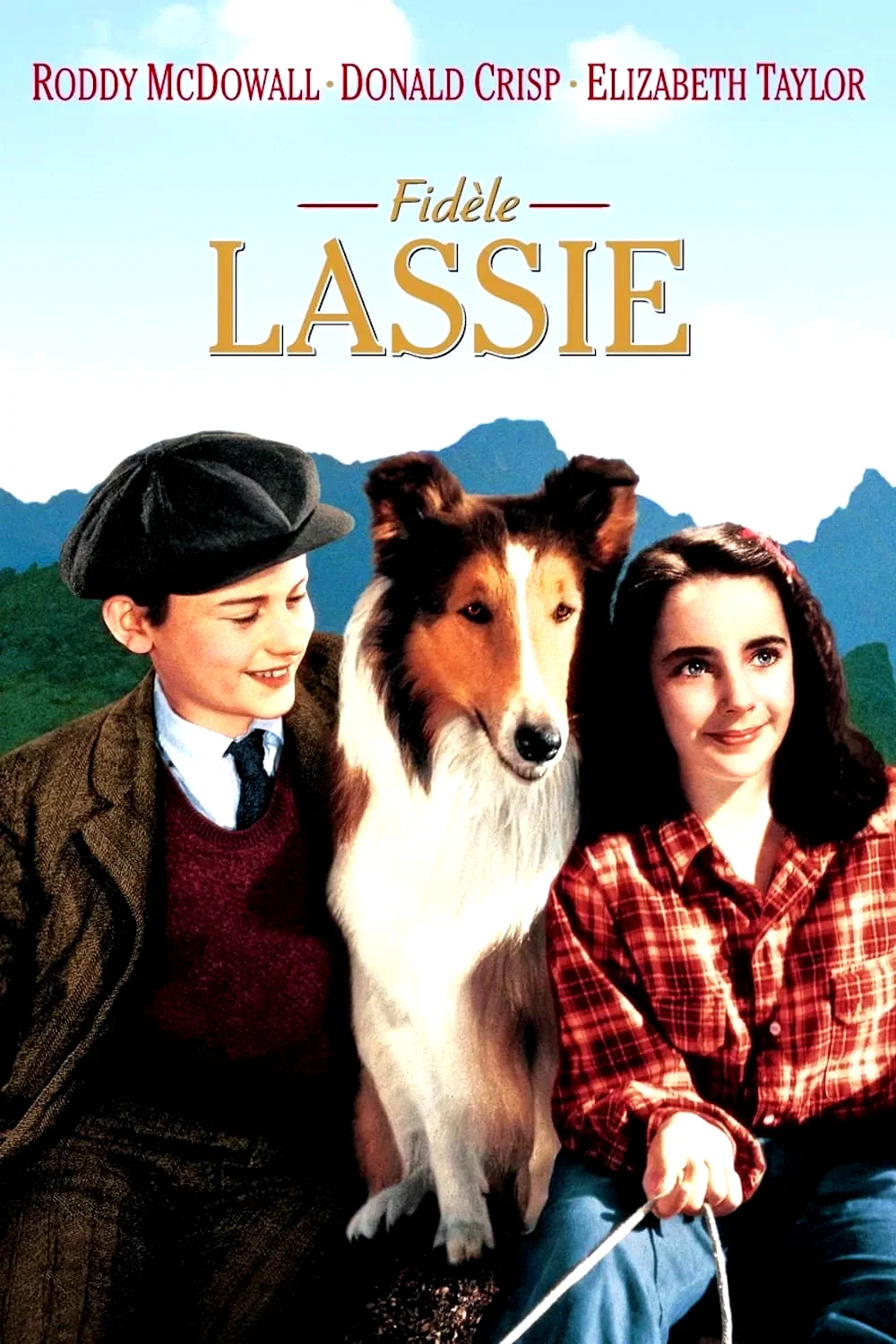 Photo 2 du film : Fidèle Lassie