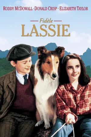 Photo du film : Fidèle Lassie