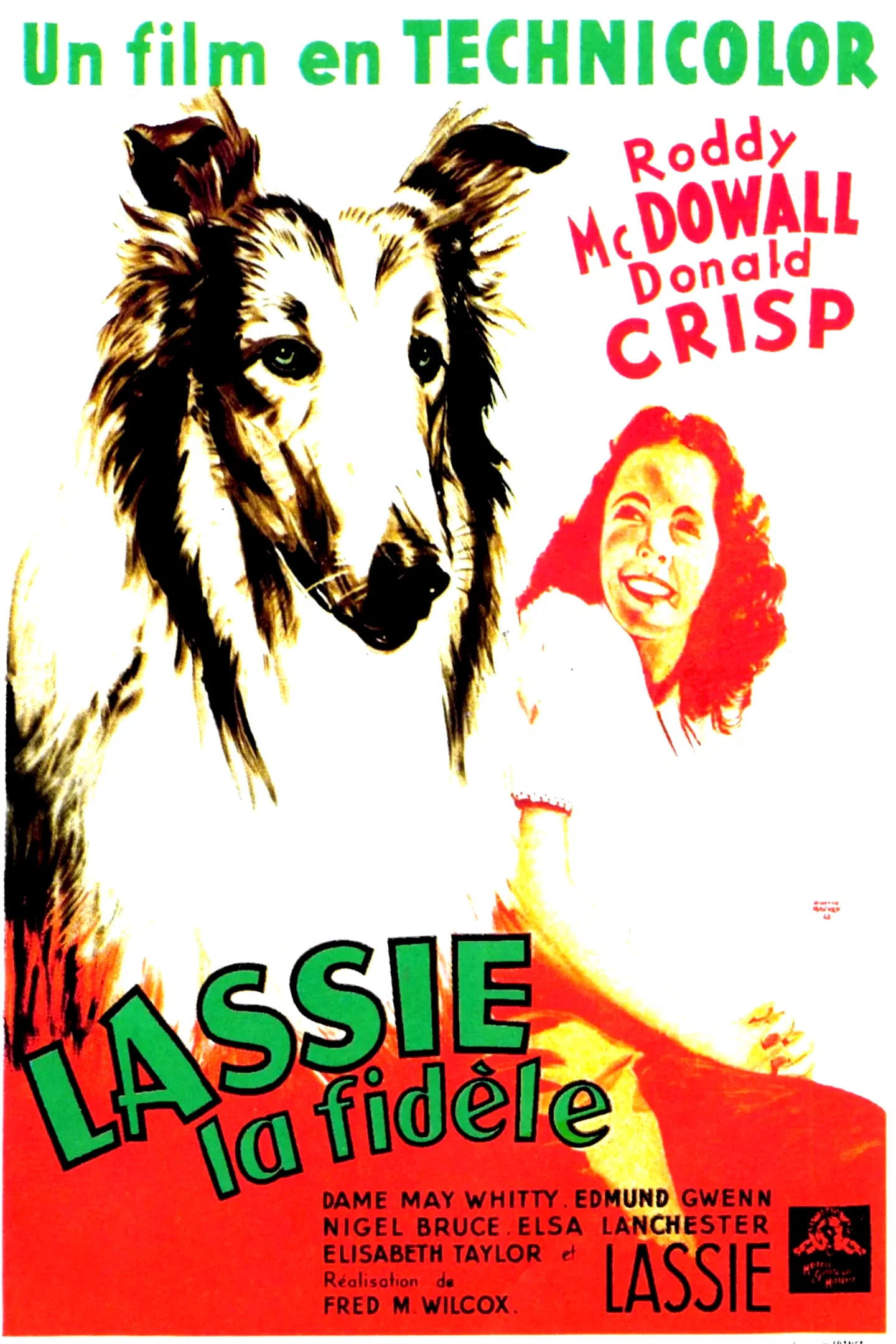 Photo 3 du film : Fidèle Lassie
