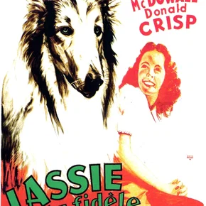 Photo du film : Fidèle Lassie