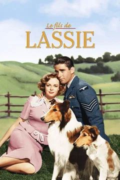 Affiche du film Le Fils de Lassie