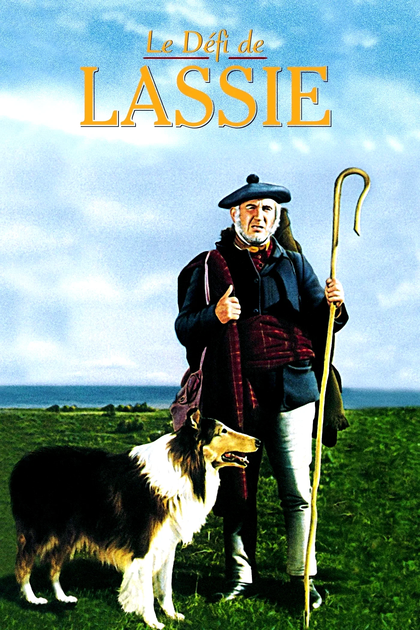 Affiche du film : Le Défi de Lassie