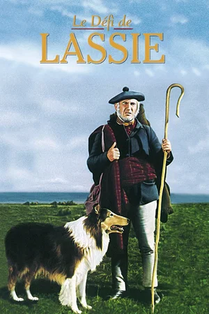 Affiche du film : Le Défi de Lassie