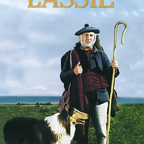 Photo du film : Le Défi de Lassie