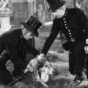 Photo du film : Le Défi de Lassie